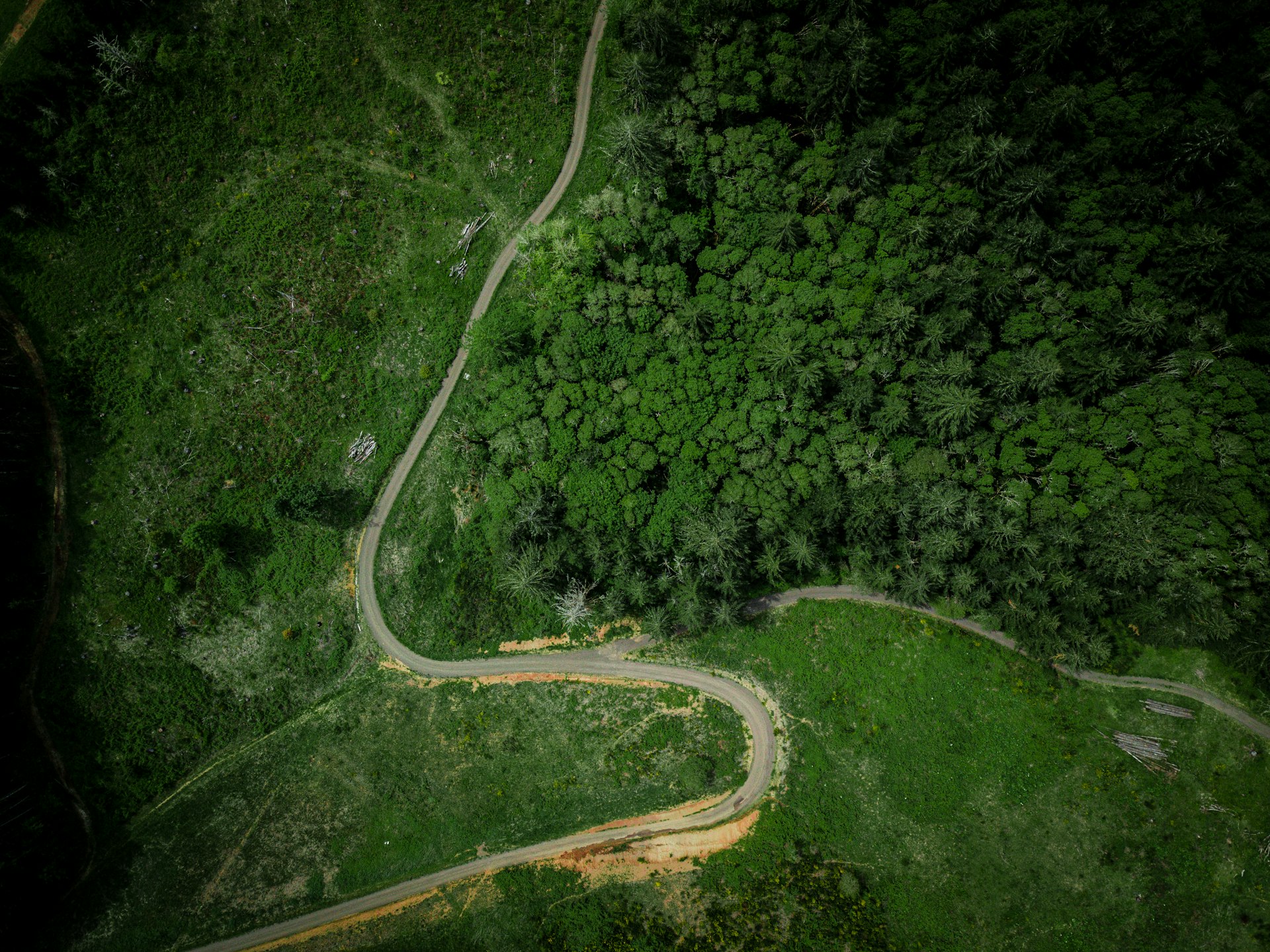 Unlocking the Power of Geospatial Analysis for Precise Deforestation Trend Monitoring