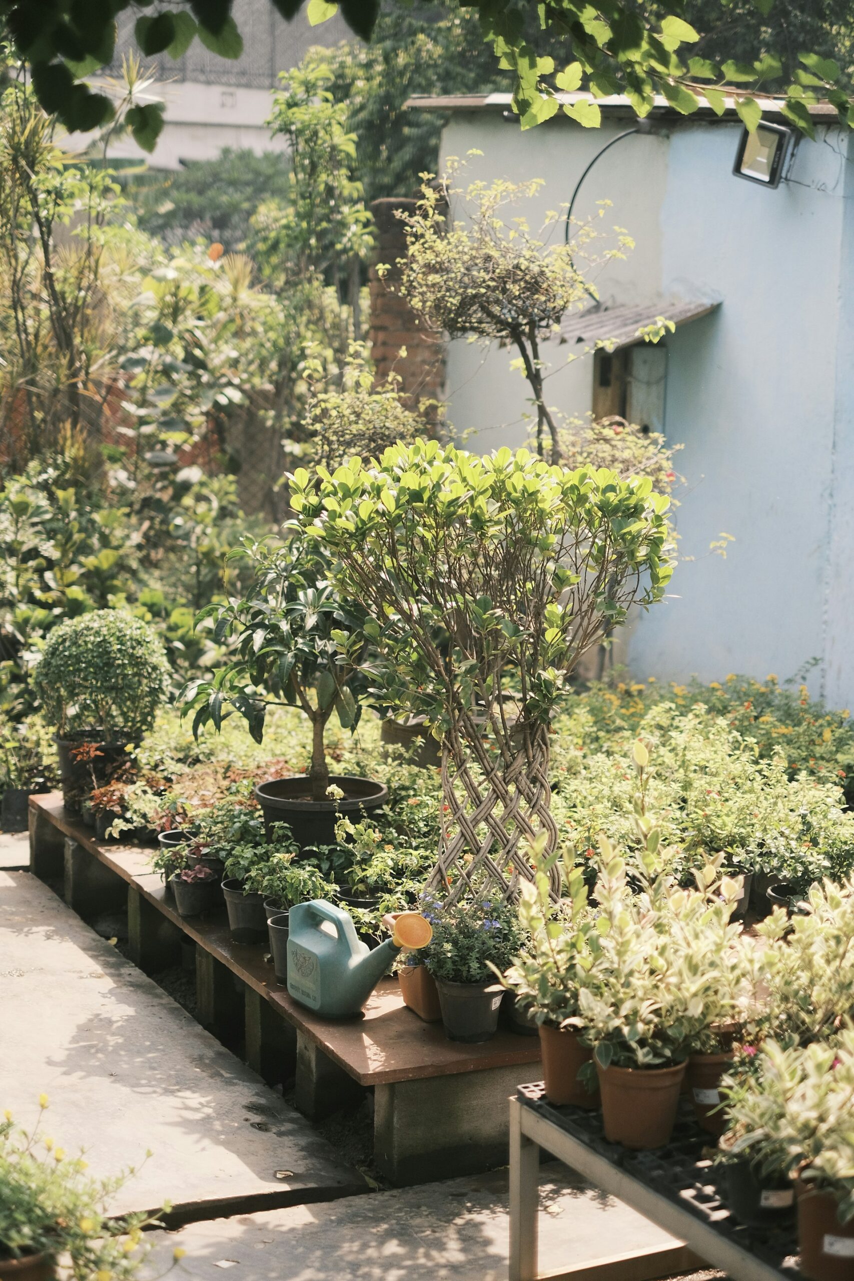 Unlocking Creativity and Wellness: Urban Gardening as a Transformative Hobby