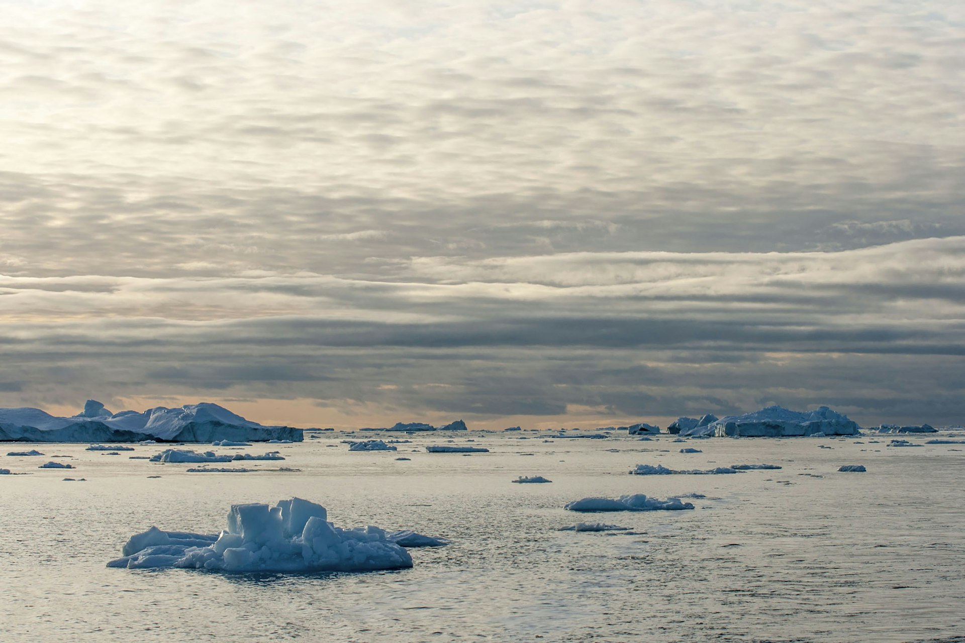 Build a Meaningful Career in Climate Change Solutions: Pathways, Opportunities, and Guidance