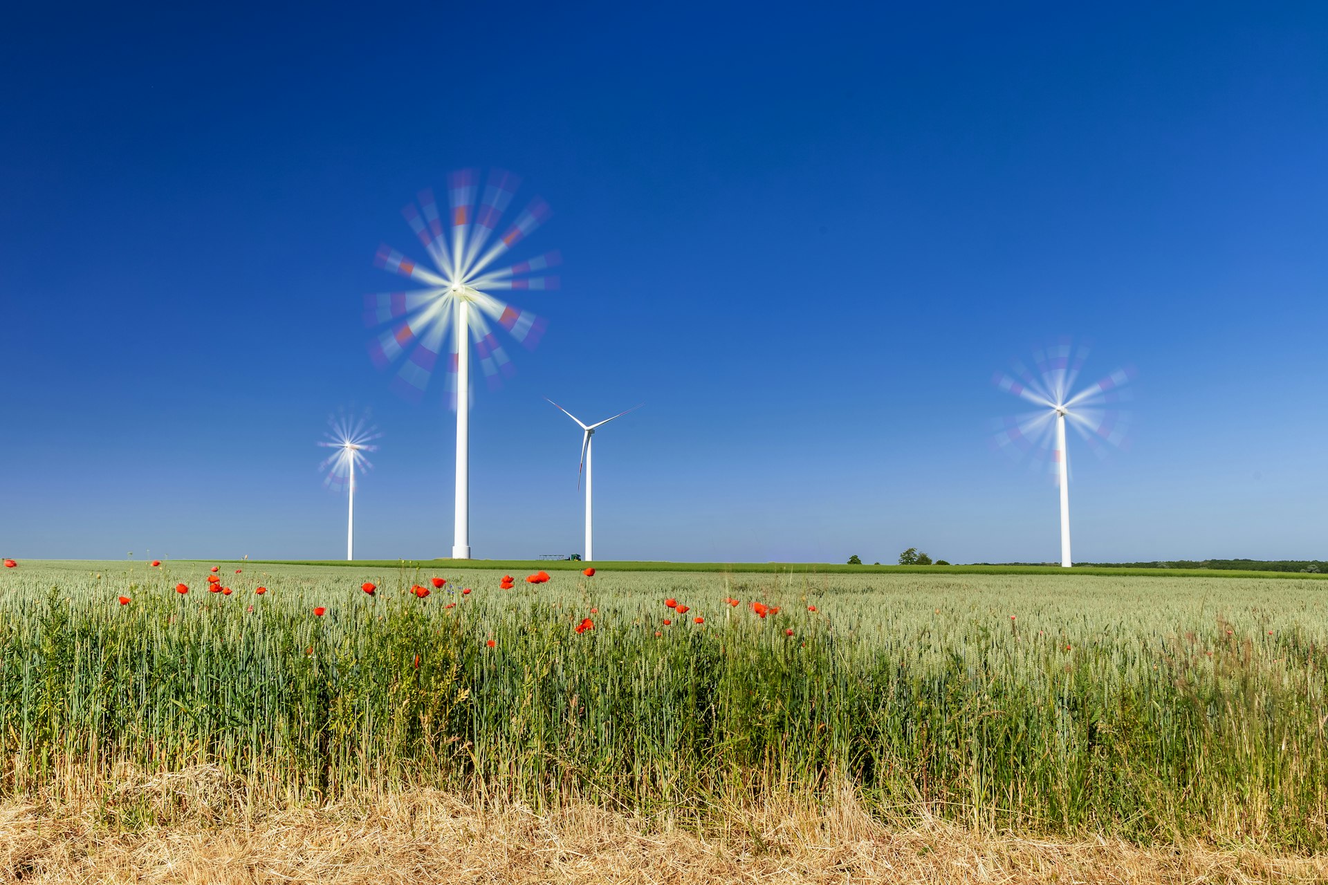Unlocking Career Opportunities in Renewable Energy Finance: Your Guide to a Sustainable Future